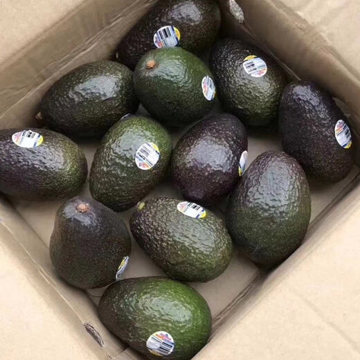 Beijing Orange Meijin Mexico imported fresh avocado fruit seasonal avocado fruit baby healthy and light food 8 medium fruits [100-130g single fruit]
