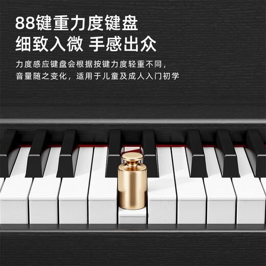 贝琪（Betsy）b112电钢琴重锤88键初学者家用练习钢琴成人儿童专业考级电子钢琴 B112力度键-木纹白 标配（琴+学琴礼包）