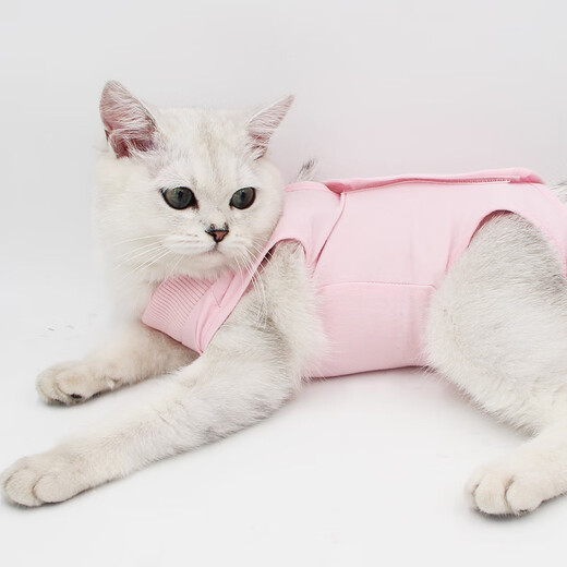 Cat sterilization suit surgery suit after surgery anti-licking female cat weaning suit cat clothes spring and summer thin sweater anti-sweater cherry blossom powder Velcro style L