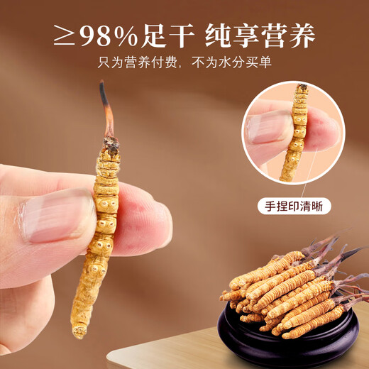 
Kangyuan Tibetan Grassland Ksaffron Selected Quality Gifts for Parents, Colleagues and Teachers Use Tibet Tonic Tea Beverage Gift Box 25g Saffron + Cordyceps sinensis 20 tube gift box [10 points to be proud of]