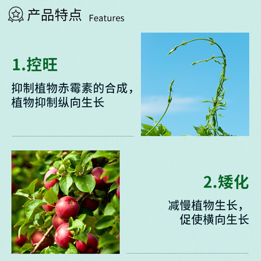 Guoguang 15% paclobutrazol fruit tree plant flower chrysanthemum lily succulent wheat rice dwarfing agent short and strong control 100g*100 bags/box