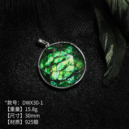 Menbin Canadian Natural Ammonite Stone Rough Stone 1238mm Star of David Colored Gemstone Pendant Necklace for Men and Women DWX38-2