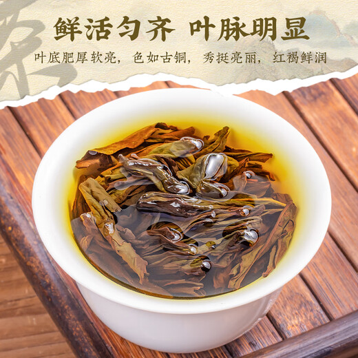 Tee Picking Bo oolong Tee Wuyi Rock Tee Dahongpao Rich Duft 100g Dosen 2025 Neue Tee und Frühlingstee selbst