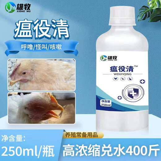 Xiong Mu Wen Ye Qing raises chickens, ducks and geese with malaise and plague, prevents chicken plague, coughs and snores, poultry feed additives 1 bottle of Wen Ye Qing 250ml