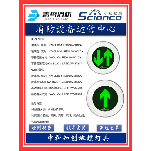 青鸟消防中科知创应急灯疏散标志集中电源箱地埋灯单向 3W 嵌入 安装应急灯  834/834B/711