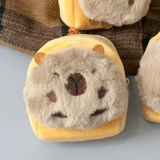 Feiyuejia Coin Wallet Women Capybara Bag Anhänger Aufbewahrungstasche Kopfhörer Bag Herren Schlüsselbund Geschenkkleidung Pendell