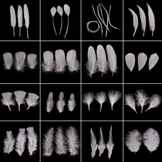 Haofanjie Feather White Decoration Props Ornaments Children's Handmade DIY Material Colorful Feather Pointed Down Down Imitation Goose Feather Small Floats About 4-8cm Long 100 Pieces