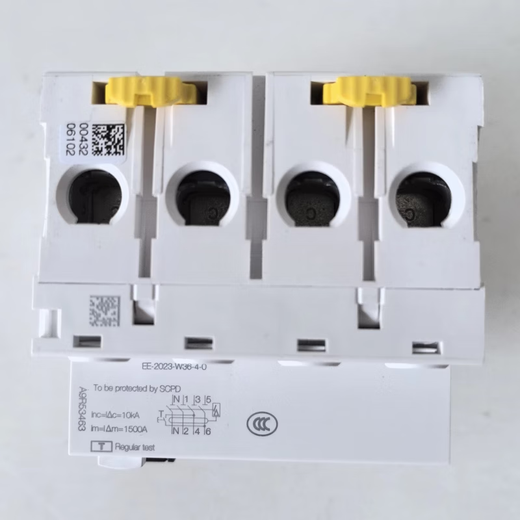 施耐德电气施耐德A9电磁式漏电一体式断路器占24位iID4P63A100A漏保 25A 2P