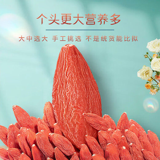 红柳沟红枸杞子宁夏头茬特级500g 免洗大果泡茶养生 节日礼品送父母长辈