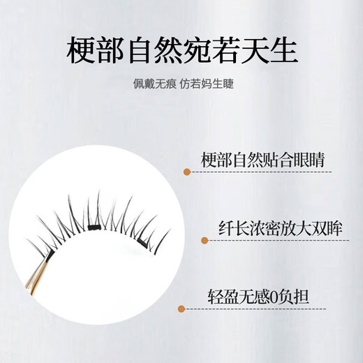 Meet the Beauty, Glue-free Magnetic False Eyelashes for Women, Natural Simulation Camellia Little Devil Soft Stem, Whole New Year Gift