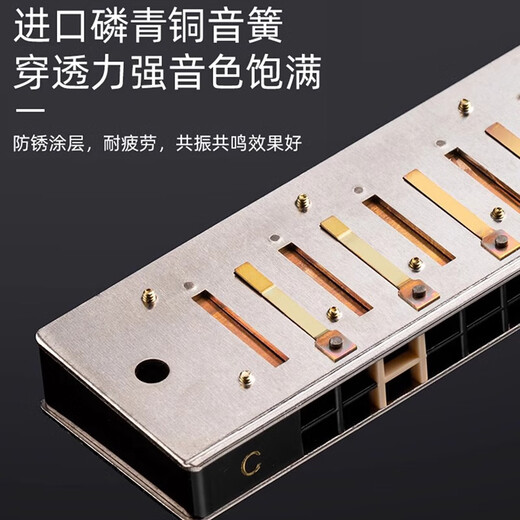 Guoguang Shanghai Guoguang harmonica Chord de gamme adulte adulte 28 trous accent débutant avancé de performance professionnelle haut de gamme avancée niveau de performance 28 trous c-silver C [donner un ensemble complet de cadeaux]