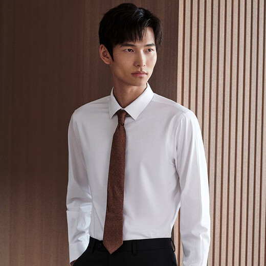 Ankündigung Vogel formelles langärmeliges Hemd Herrenherbst [leicht zu entfernen Flecken] Männer mit langärmeligem weißen Revers Shirt Casual Shirt White 41 (175/96)