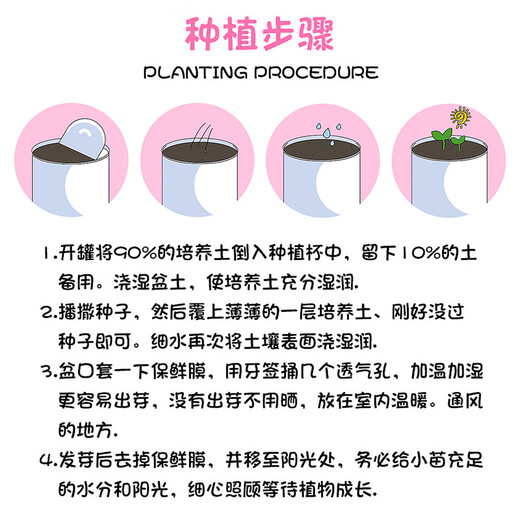 蚁恩罐头植物盲盒幼儿园室内种植小盆栽蔬菜花卉种子绿植61儿童节礼物 【寓意种植小盆栽盲盒、3罐装】 【老师推荐/简单易活/四季可种】