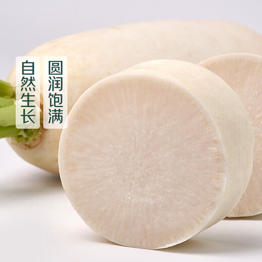 About 1kg of white radish