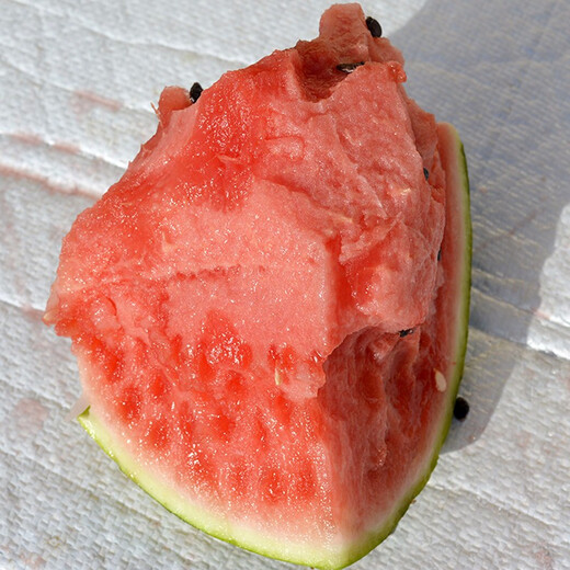 Zhongke Maohua vegetable and fruit seeds Xiyu Zaojia 8424 watermelon seeds Xinjiang 8424 Kirin watermelon seeds high purity Xiyu Zaojia 8424-1000 capsules/box