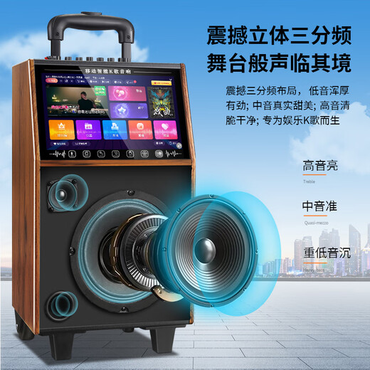 Konka square dance audio with display wireless microphone Bluetooth home ktv singing and dancing live performance karaoke karaoke machine integrated video large volume outdoor trolley speaker 20-inch touch version + 2 microphones