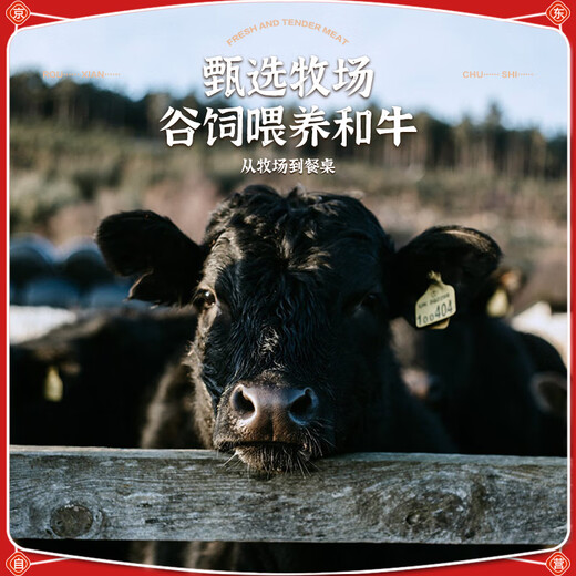 Fresh Chef Australian Wagyu M5 Original Cut Steak Net weight 2Jin Jin is equal to 0.5kg Grain-fed 400-day snowflake beef steak frozen