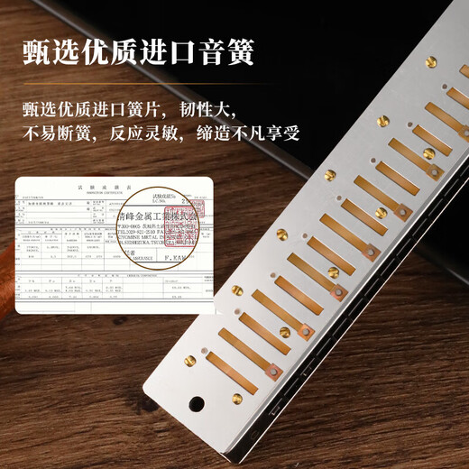 Swan (SWAN) Gongs importados de Alemania Swan Armónica de acento polifónico de 28 hoyos Instrumento de rendimiento profesional principiante avanzado para adultos Tecla F de 28 hoyos Polifonía negra mate + juego completo de regalos