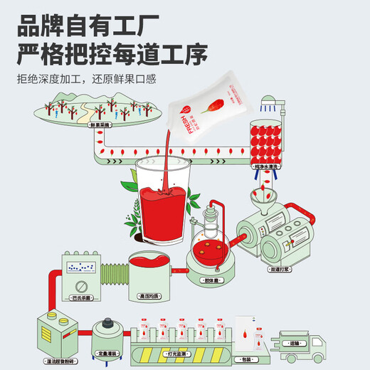 早康宁夏中宁枸杞原浆300ml头茬鲜果鲜榨100%送父母补礼物肾