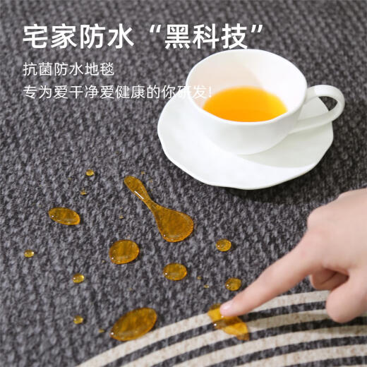 地毯客厅2024免洗可擦卧室床边毯轻奢感加厚防水沙发地垫 星涧15657 140cm*200cm升级三防款易打理
