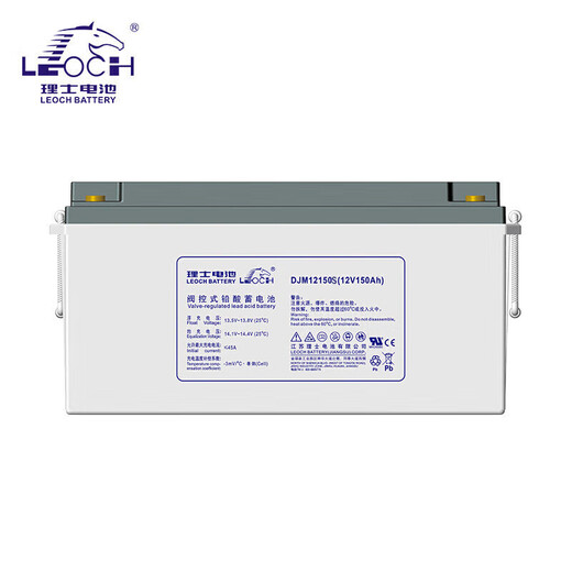 LEOCH理士铅酸免维护蓄电池DJM系列  EPS直流屏通信开关电源储能 DJM12250S 2024年