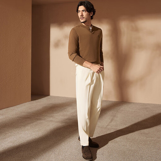 Qipai cashmere Henry collar sweater for men 24 autumn and winter new business casual sweater anti-wrinkle men's sweater brown 170