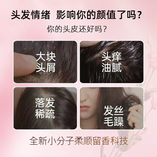 BEAUTY NOTESN°5号香水味洗发水控油蓬松止痒去屑持久留香洗发乳男女800ml