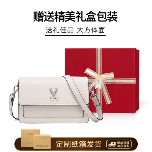 蔻一（Cnoles）包包女包百搭通勤款单肩斜挎小方包高端品牌生日礼物送女友实用