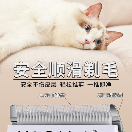 Yingshen Cat Shaver Pet Electric Clipper Electric Clipper Gold Gradient American Short British Short Ragdoll Cat Pet Supplies 9860C