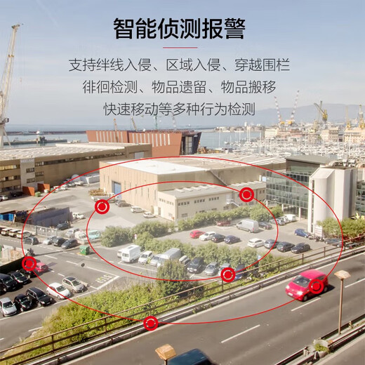 dahua大华球机双光全彩夜视监控摄像头室外6英寸自动巡航变焦变倍DH- 200万23倍-DH-SD6223-A-i 标配