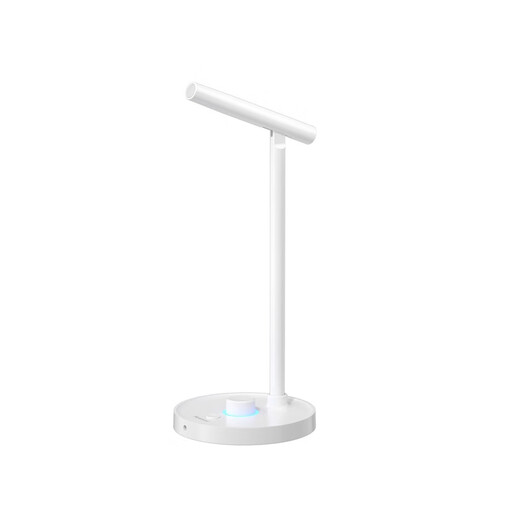 Newman ZM06 computer microphone, USB gaming desktop noise reduction microphone, computer desktop notebook, online class conference, voice live recording, condenser microphone, white