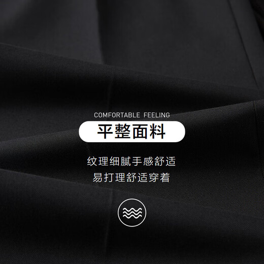 HLA Heilan Home Suit Suit Men Spring and Autumn Light Business Classic Series Suit Suit Men HTXAW3Y001A