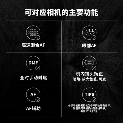 Tamron A074S 28-300mm F/4-7.1 Di III VC VXD anti-shake large zoom telephoto travel scenery full-frame mirrorless lens (Sony full-frame E-mount)