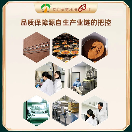 Shanglu Shanghai Academy of Agricultural Sciences High-Broken Ganoderma Lucidum Spore Powderpene Triterpene Sangu High Content Amélioration de l'immunité Ruifeng Green Box 3 Box Pack