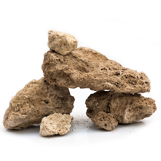 SHXI natural water-absorbing stone raw stone water stone wool gravel stone rockery bonsai micro landscape landscaping small ornaments with stone absorbent stone raw stone 20-25cm10Jin Jin is equal to 0.5 kg