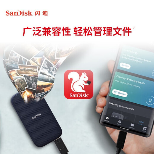 闪迪（SanDisk） 移动固态硬盘 NVME高速SSD E61存储USB3.2 极速 4T读速高达1050MB/S
