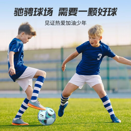 
Li Ning Football No. 5 Adult Children and Youth Professional Competition Training Hot Adhesive High School Entrance Examination Standard World Cup Football [No. 5 Fashion Patch Football] Pink Blue 679-1