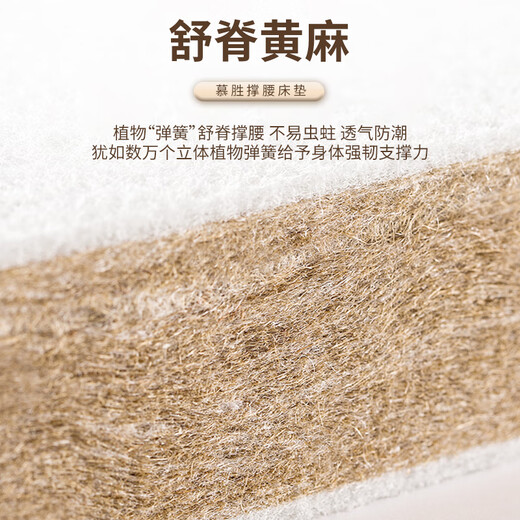 Musheng Spring Mattress Imported Jute Bonnier Spring Surround Reinforcement Simmons Mattress
