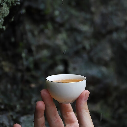 Bama Tea Tea Set Travel Tea Set Portable Ceramic Kung Fu Tea Set One Pot Five Cups With Tea Towel