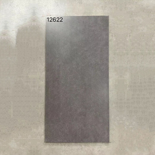 维诺亚600x1200仿古地砖防滑客厅水泥灰仿古砖工业复古风极简风哑光地面 12625
