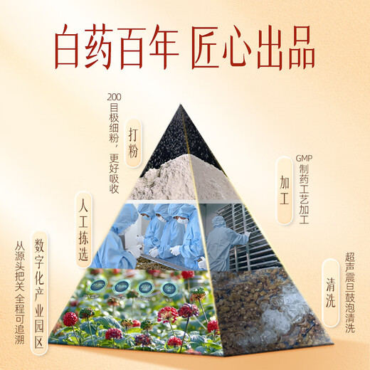 Yunnan baiyaobao qisanqi poudre poudre de tête panax notoginseng 260g