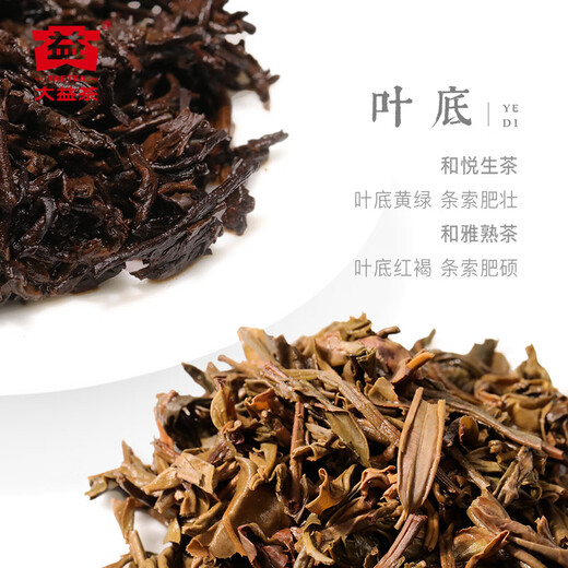 Dayi Taetea Tea Pu'er Tea Heyue He Yasheng Matipe Tea Combination 357g * 2 Boîte-cadeau de thé à gouttes