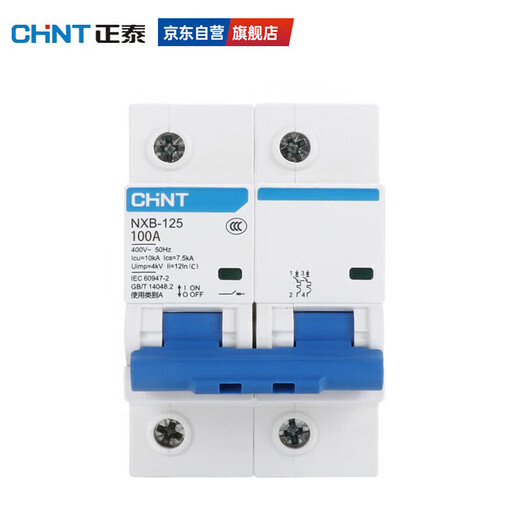 Chint (CHNT) overload air switch NXB-125-2P-C100 small circuit breaker 100A