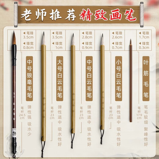 Shu Xing Chinese Painting Pigment Set Beginners Ink Painting Chinese Painting Supplies and Tools Full Set of 12 Colors for Primary School Students Art Class Special Meticulous Brush Painting Brush Rice Paper Materials for Children