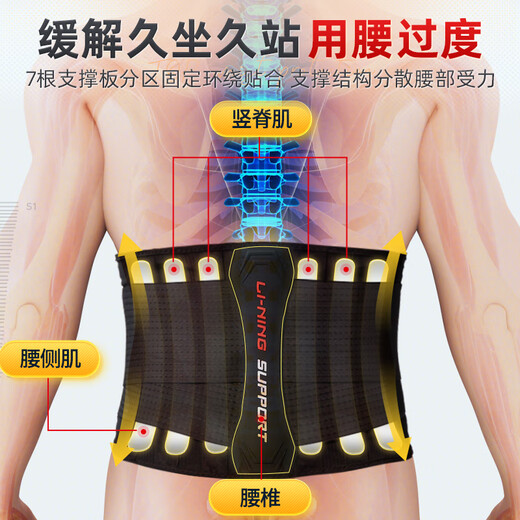 
Li Ning Belt Protective Sport and Fitness Summer Lumbar Disc Herniation Treatment for Pustomy Strain for Long-term Sit Running Basketball Deadlifting Waist