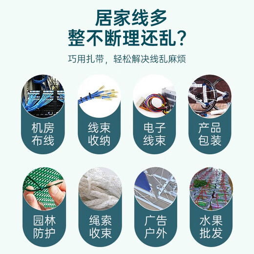 尼龙扎带 易拉捆绑带塑料扎带束线带自锁电脑主机装机 园艺 白色扎带固定器收紧器 黑色-2.5*100mm（约50根-限时抢）