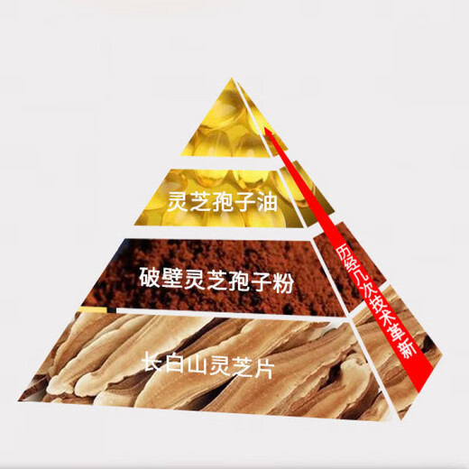 
Ganoderma lucidum spore oil soft capsule Changbaishan broken wall Ganoderma lucidum spore powder extract 60 tablets of Linzhi robe oil FDA export Zhongyuan Yibao brand [eight boxes 480 tablets]