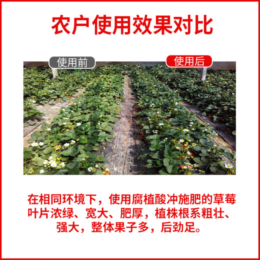 Jinzhengda amino acid-containing water-soluble fertilizer foliar fertilizer flush fertilizer garden fruit tree general fertilizer yellow leaf vegetable fertilizer amino acid liquid fertilizer 5L*1 seaweed fertilizer 1kg*1