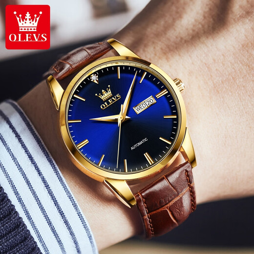 Olevs Swiss Certified Brand Watch Men's Mechanical Watch Men's Uhr