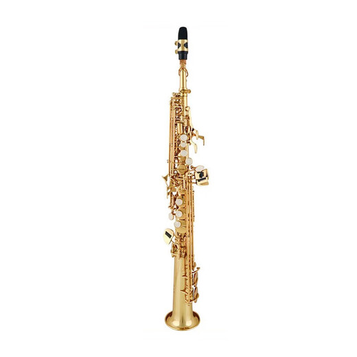 Golden Tone Saxophon Windinstrument Anfänger Übung professionelle Bewertungsband Performance Golden Jyss-E100